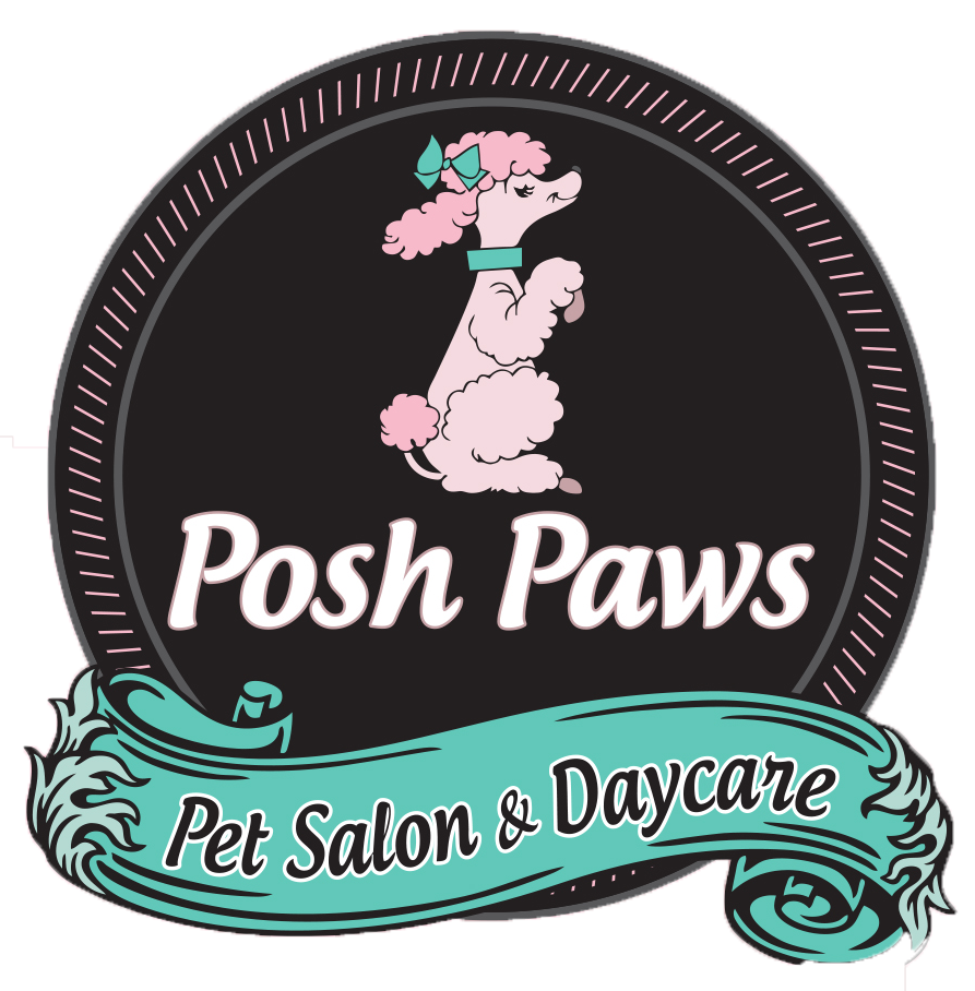 Dog & Cat Grooming | Temple, TX | Posh Paws Pet Salon
